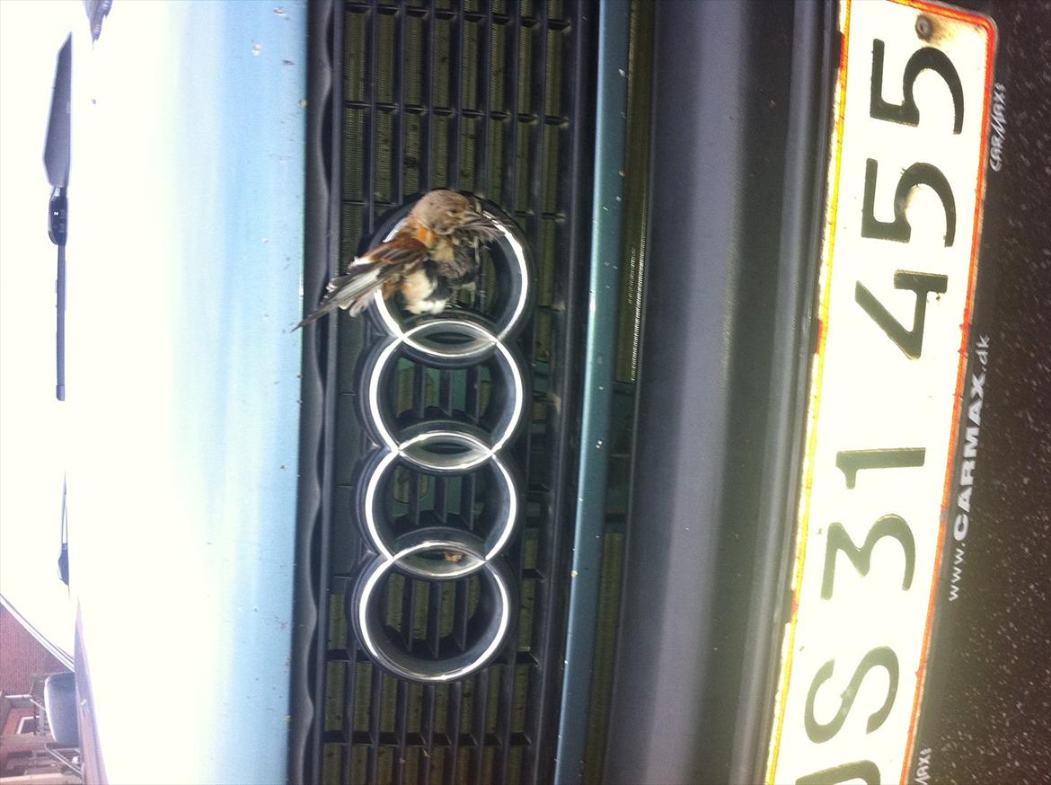 Audi 80 1.8s SOLGT!!! billede 8