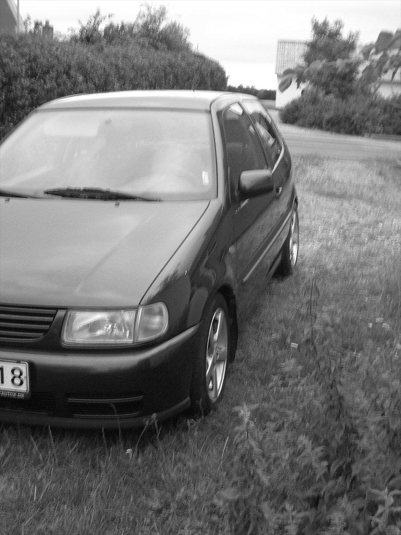 VW Polo billede 13