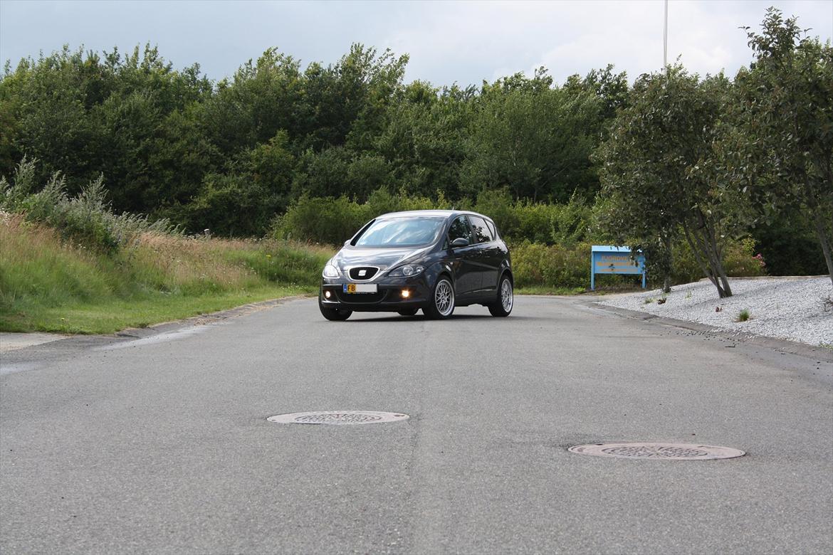 Seat Altea Van billede 1