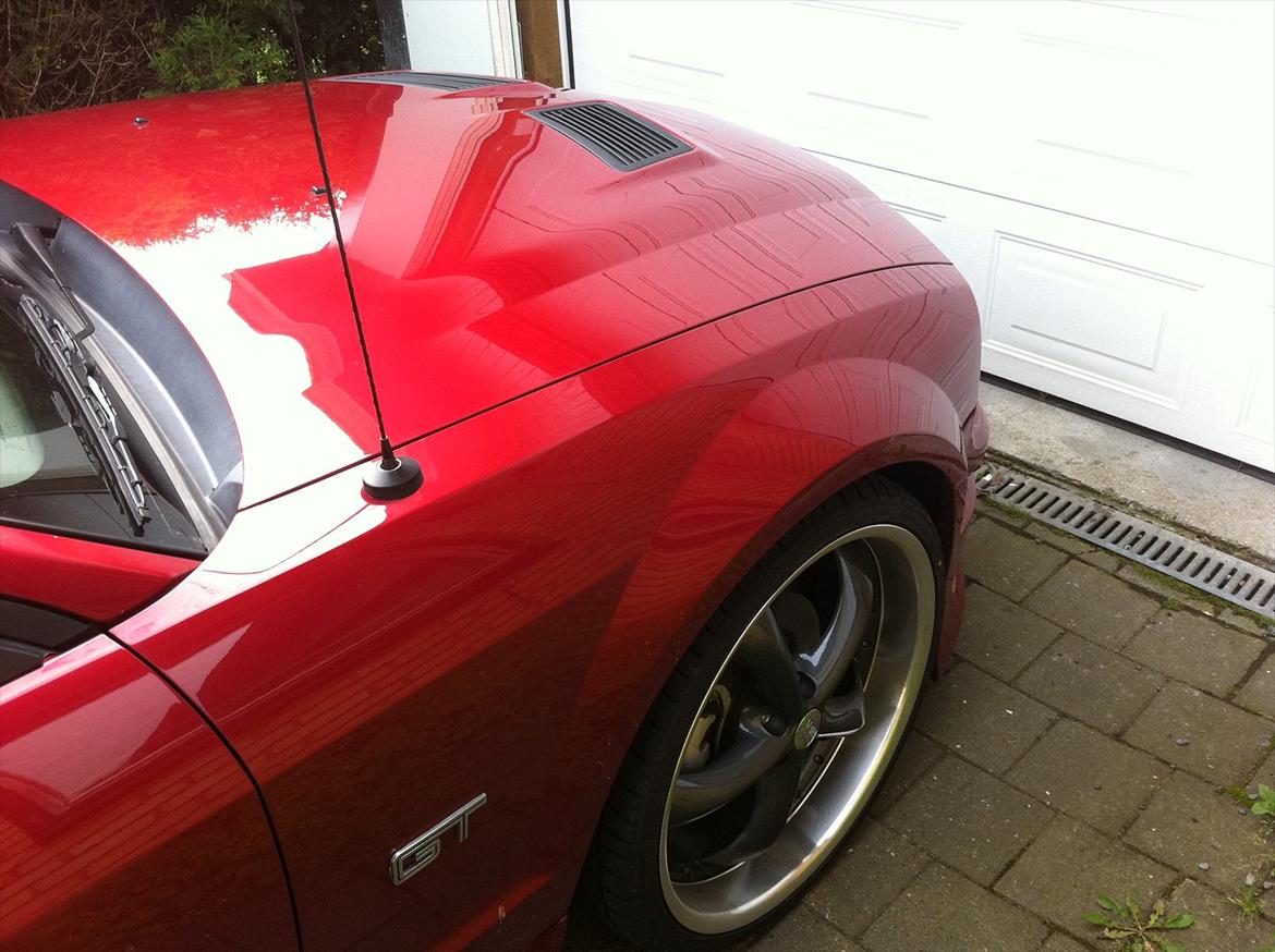 Ford Mustang GT CABRIO billede 14