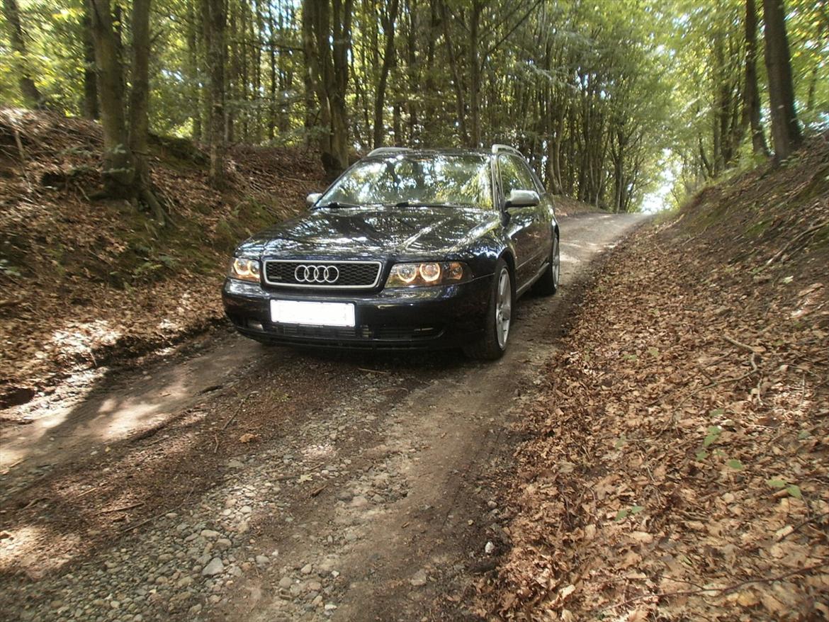Audi A4 1,8T AVANT QUATTRO billede 5