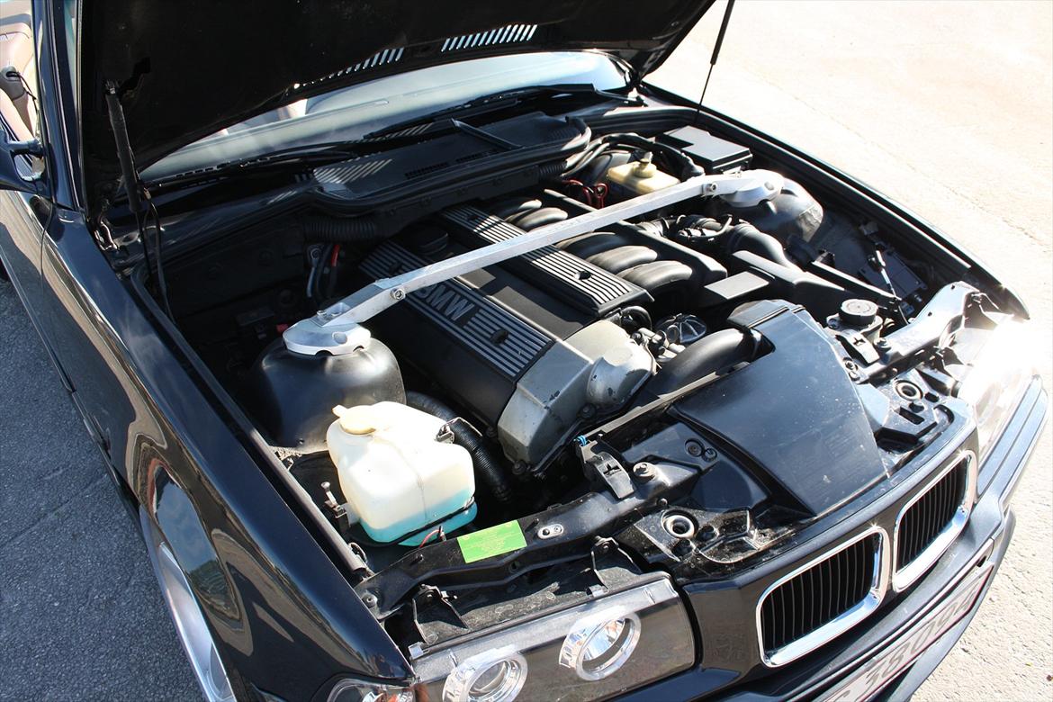 BMW e36 cab 325i billede 19