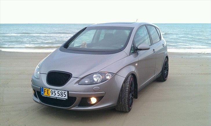 Seat Altea billede 1