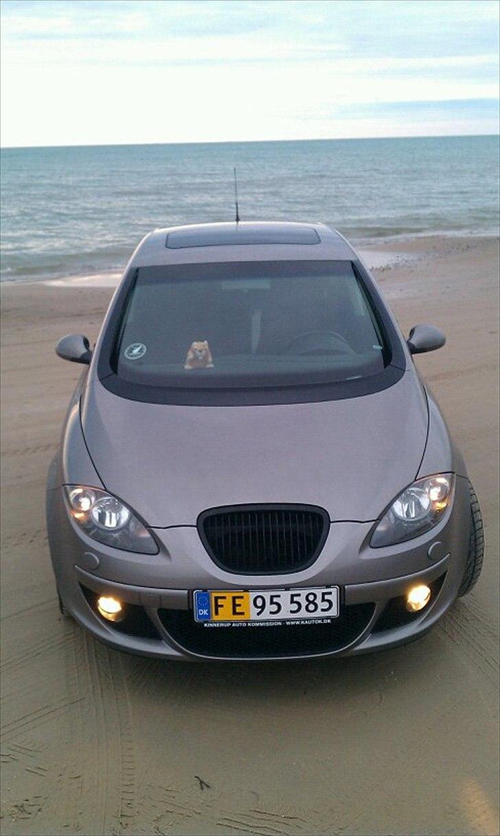 Seat Altea billede 4