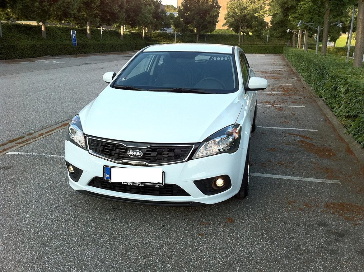 Kia Pro_Ceed SOLGT billede 2