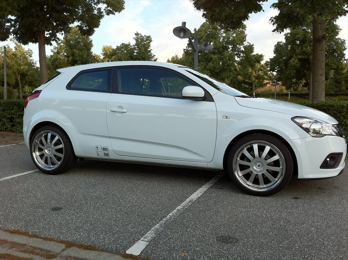 Kia Pro_Ceed SOLGT billede 3