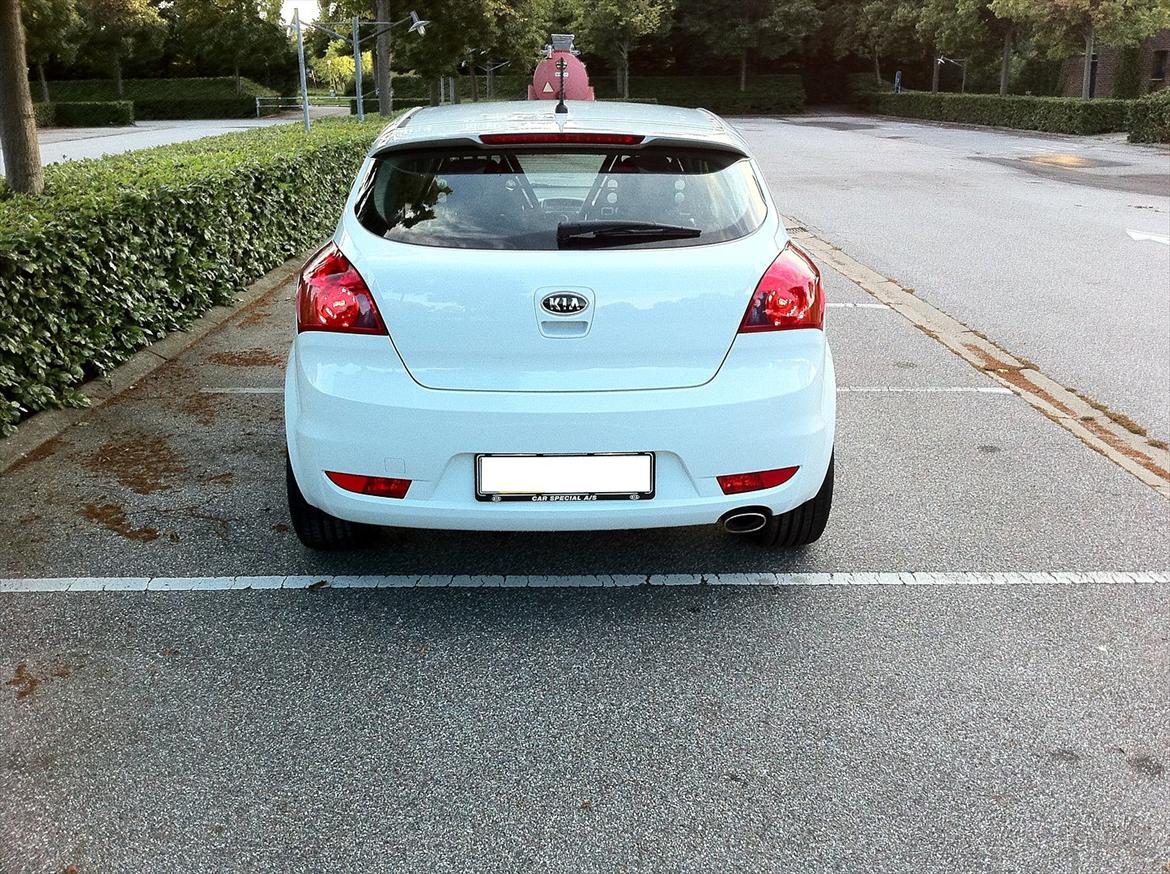Kia Pro_Ceed SOLGT billede 5