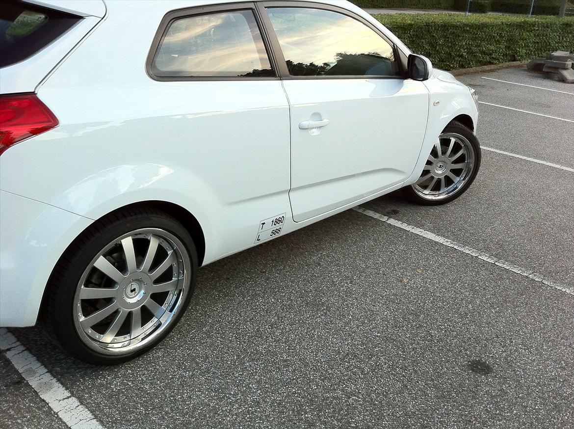 Kia Pro_Ceed SOLGT billede 8