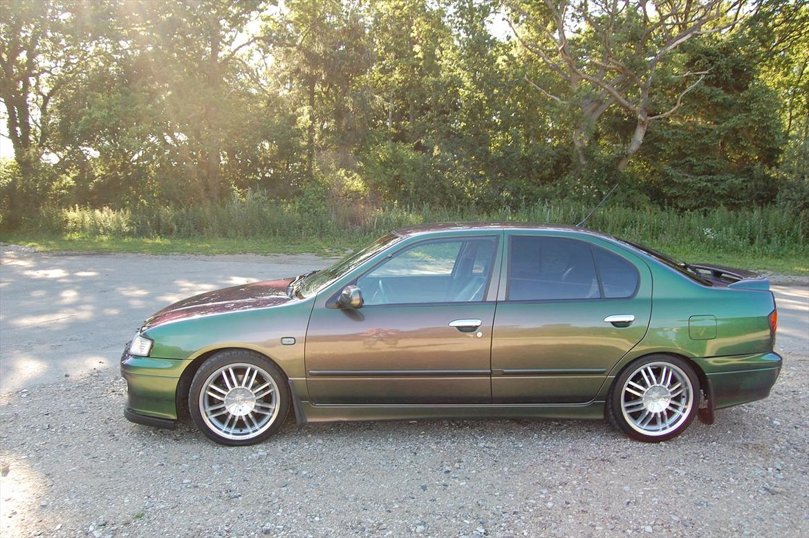 Nissan Primera 2.0 STW Edition (SOLGT) billede 2