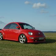 VW Beetle