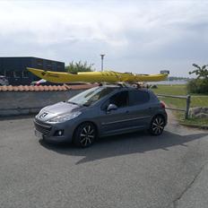 Peugeot 207 HDI "PUGGI"