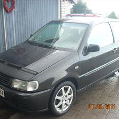 VW Polo 