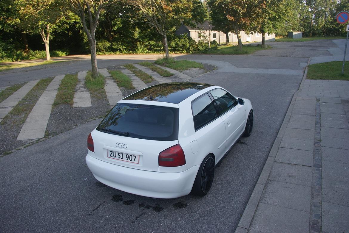 Audi A3 1.8 Turbo billede 5