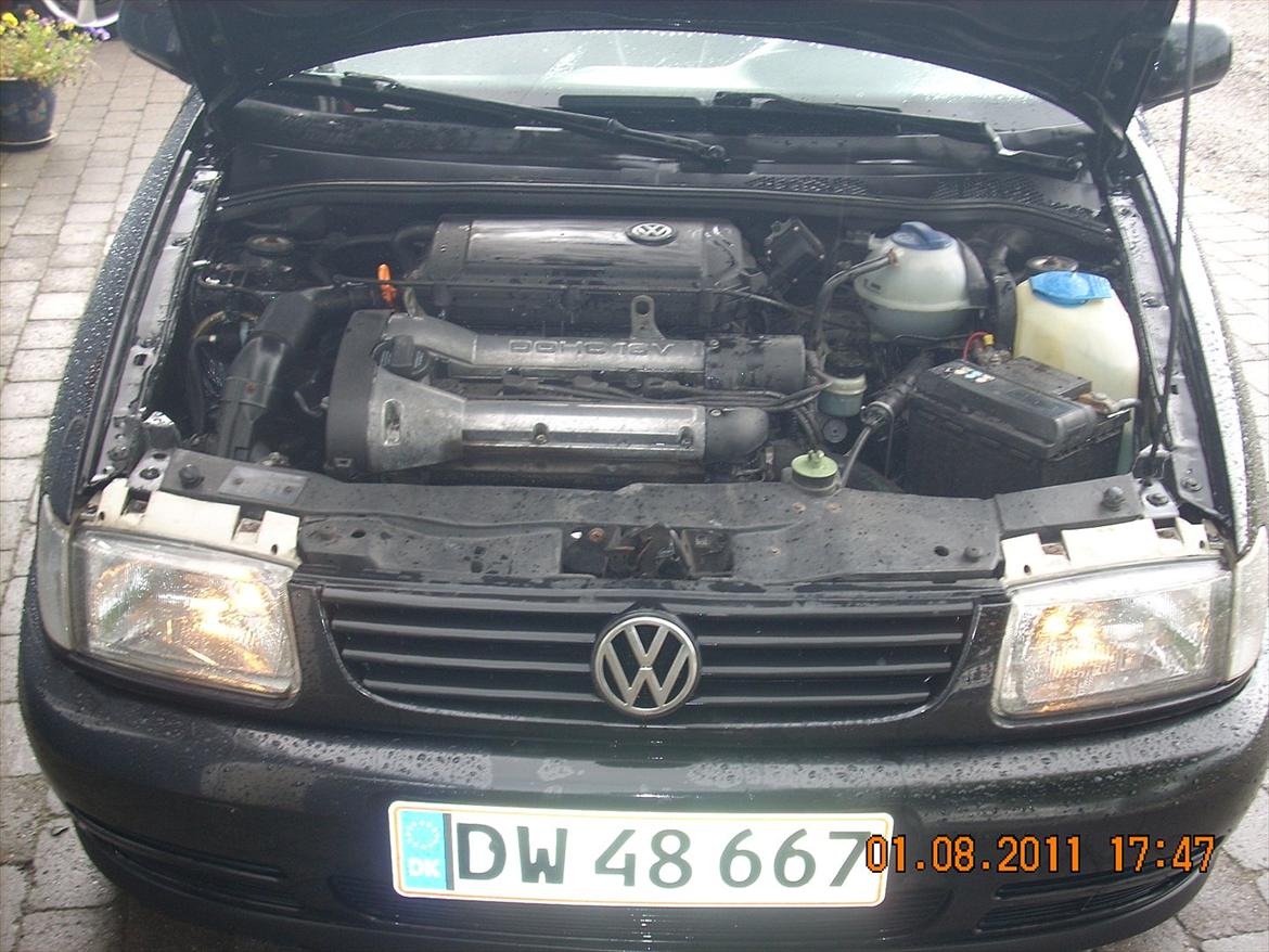 VW Polo  billede 6