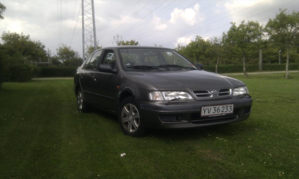 Nissan Primera 1,6 GX.  billede 4
