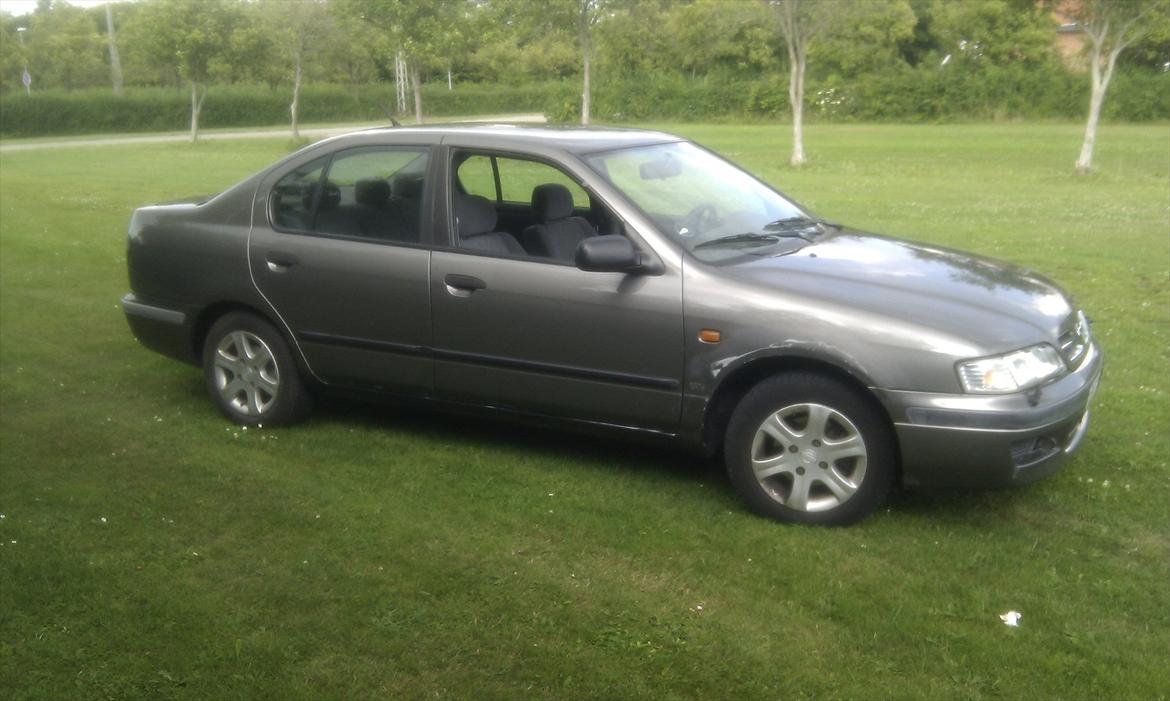 Nissan Primera 1,6 GX.  billede 5