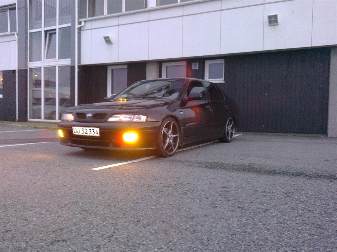 Nissan Primera GT SOLGT! - På havnen i Hirtshals billede 18