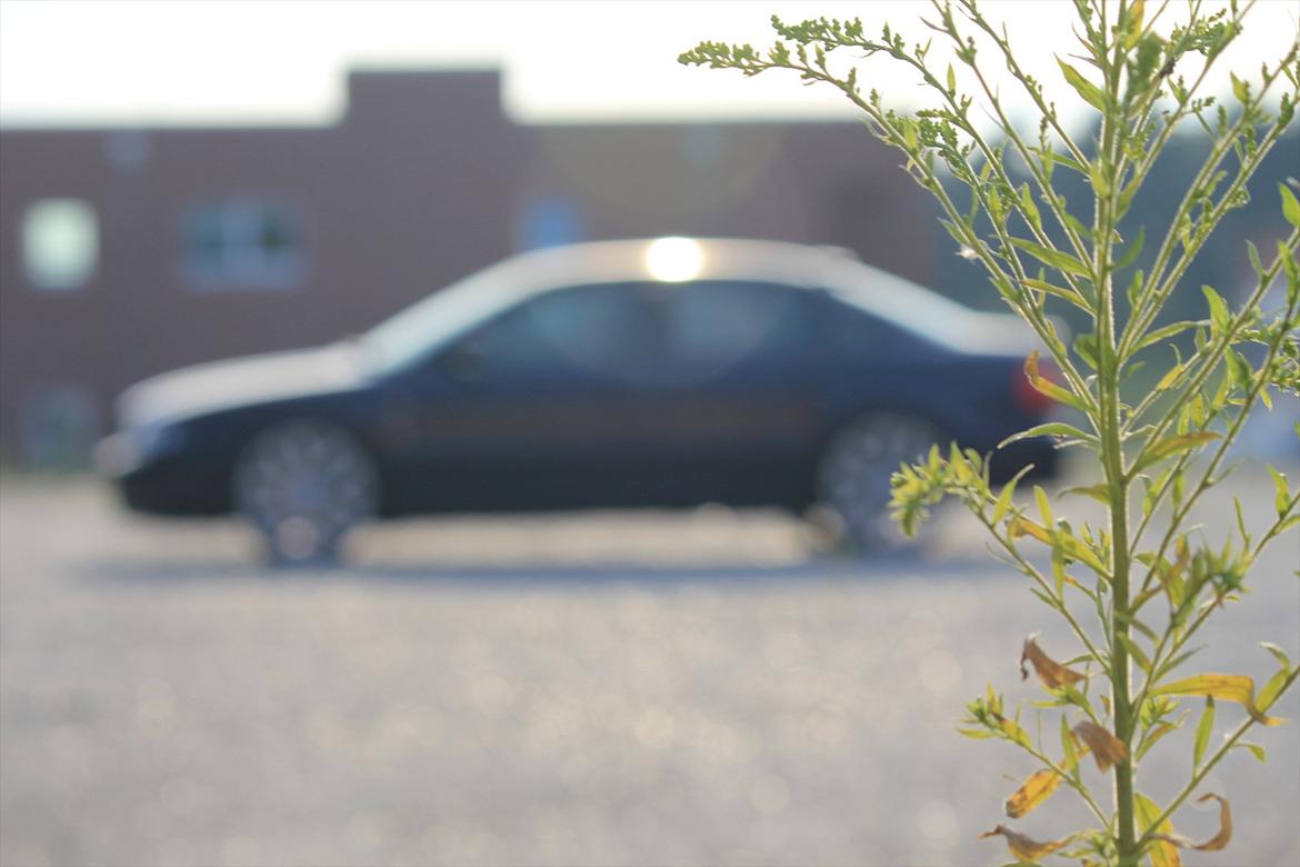 Audi A4 1,8 Turbo Quattro billede 11