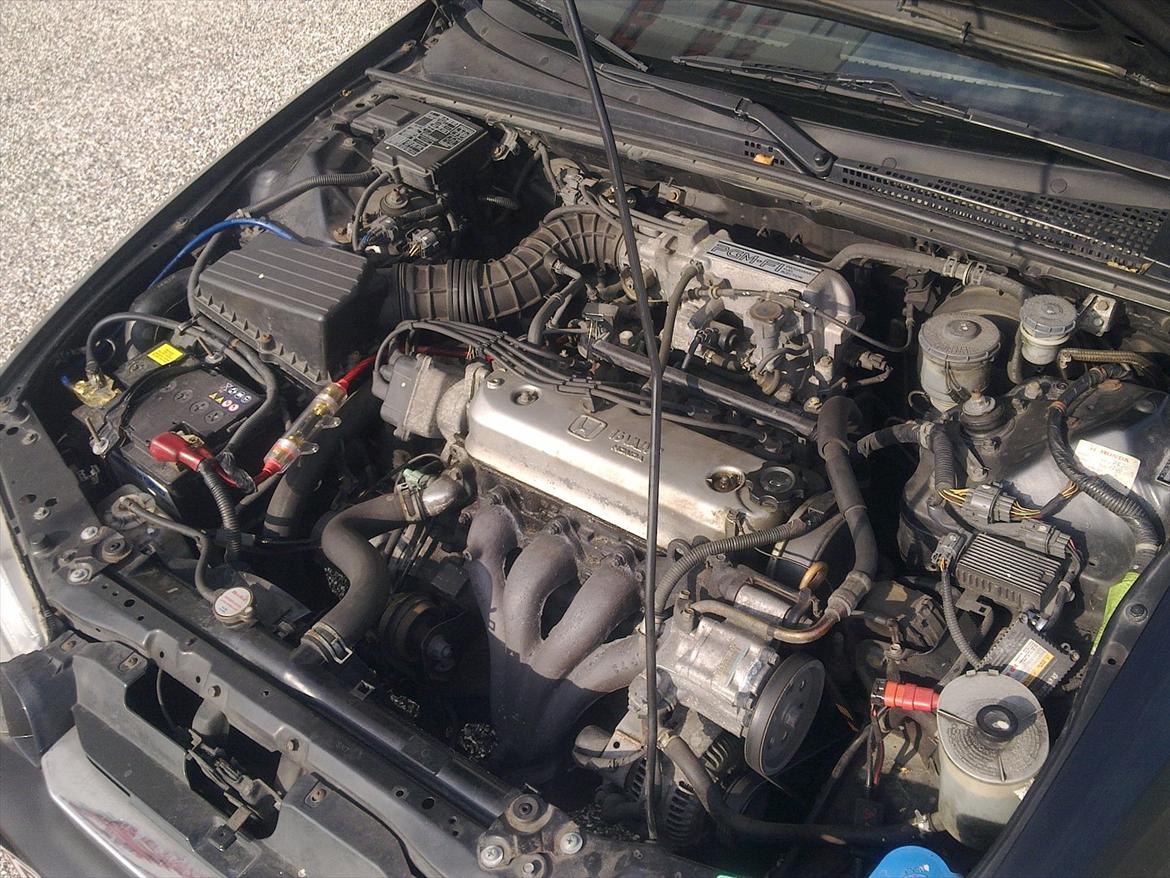 Honda Accord 16v SOLGT billede 8