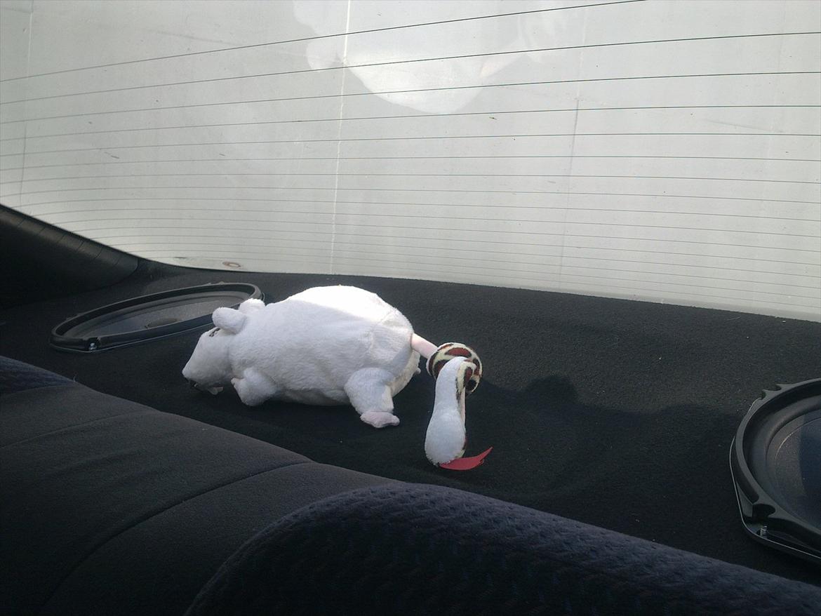 Honda Accord 16v SOLGT billede 15