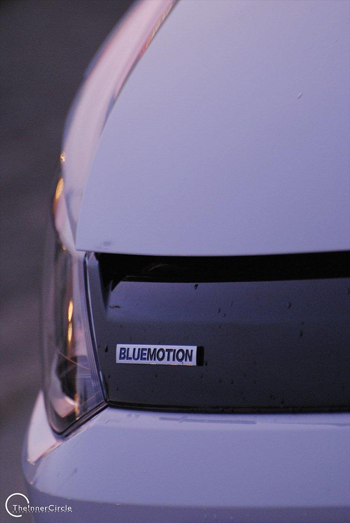 VW Polo - Blue Motion billede 12