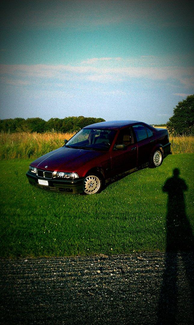 BMW E 36 320i billede 4
