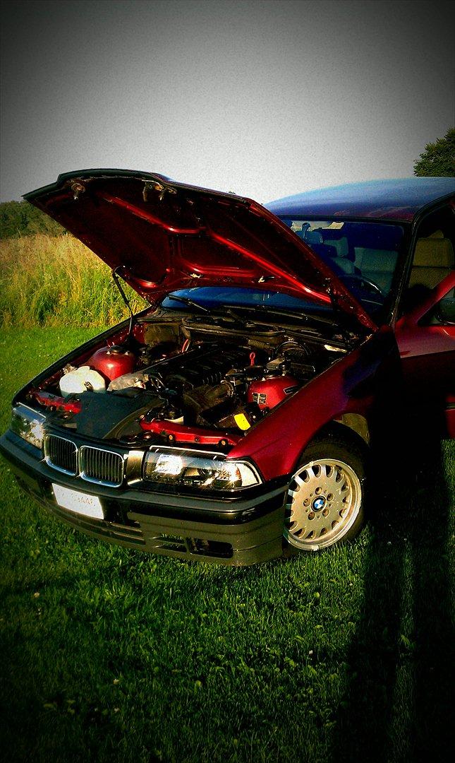 BMW E 36 320i billede 6