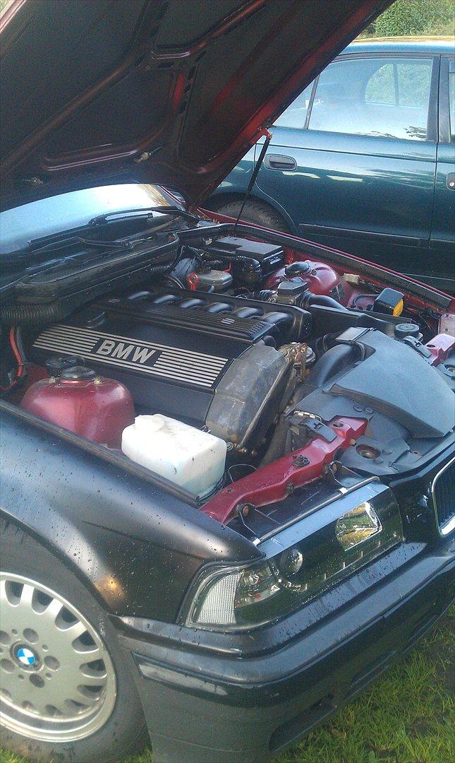BMW E 36 320i billede 11