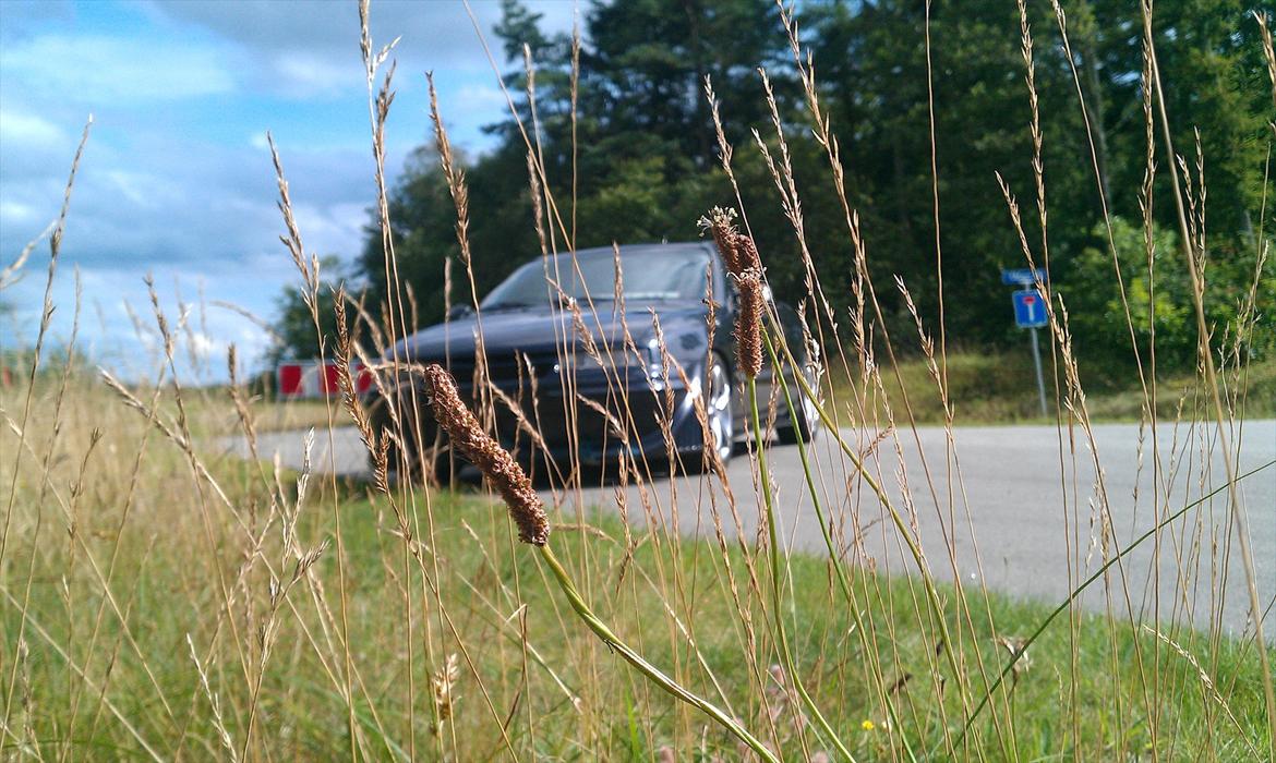 Opel Calibra billede 8