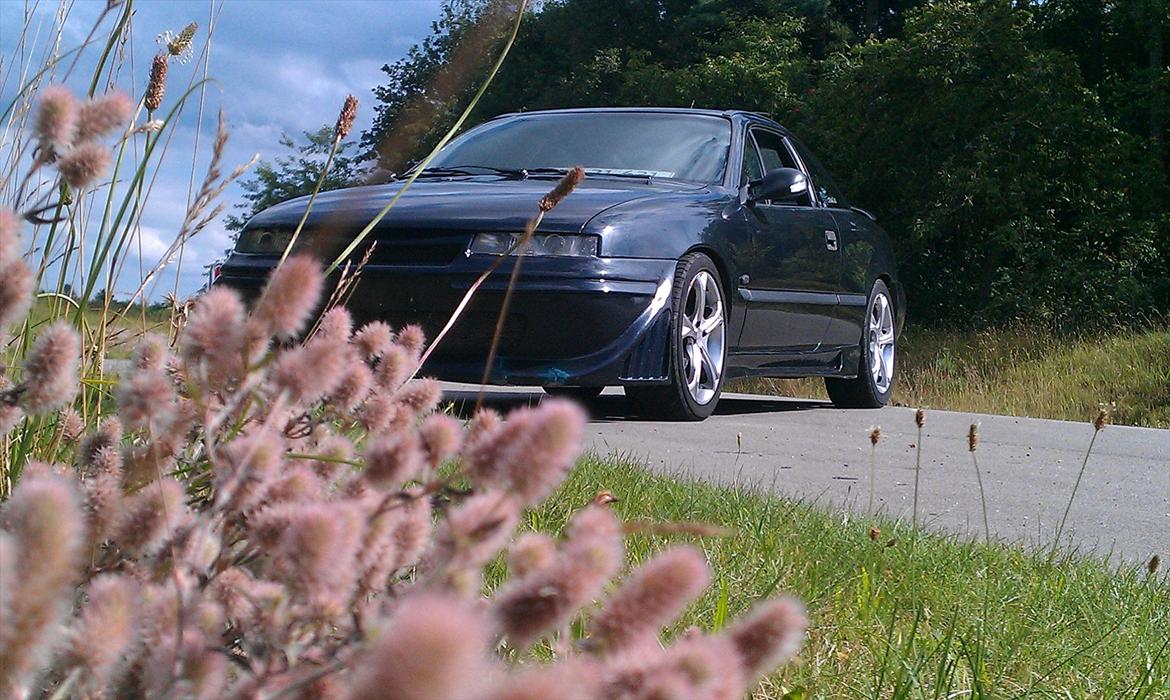 Opel Calibra billede 9