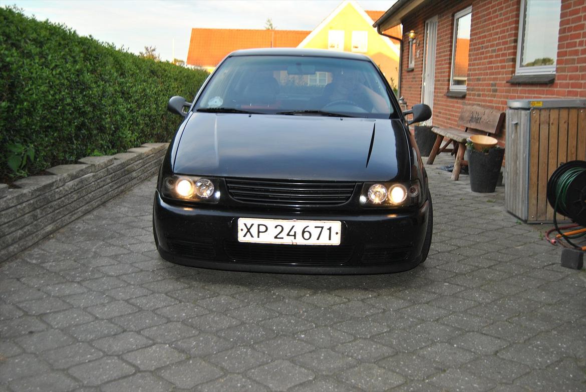 VW polo 6n billede 1