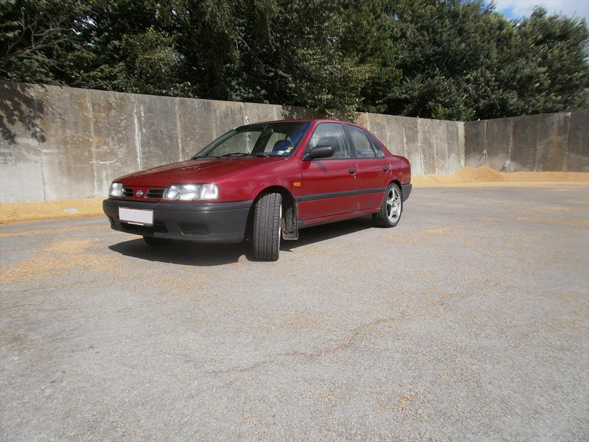 Nissan Primera P10 -Bambusraketten- billede 5