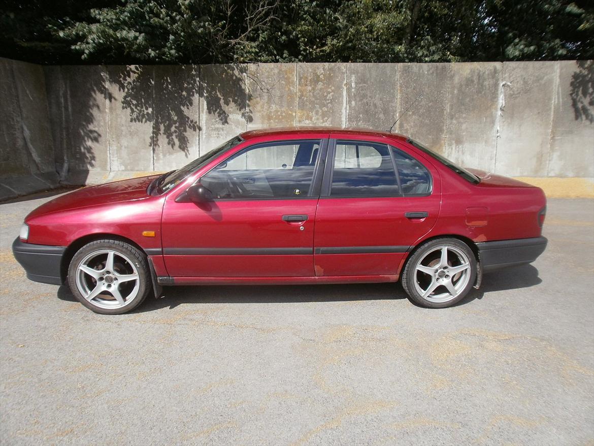 Nissan Primera P10 -Bambusraketten- billede 6