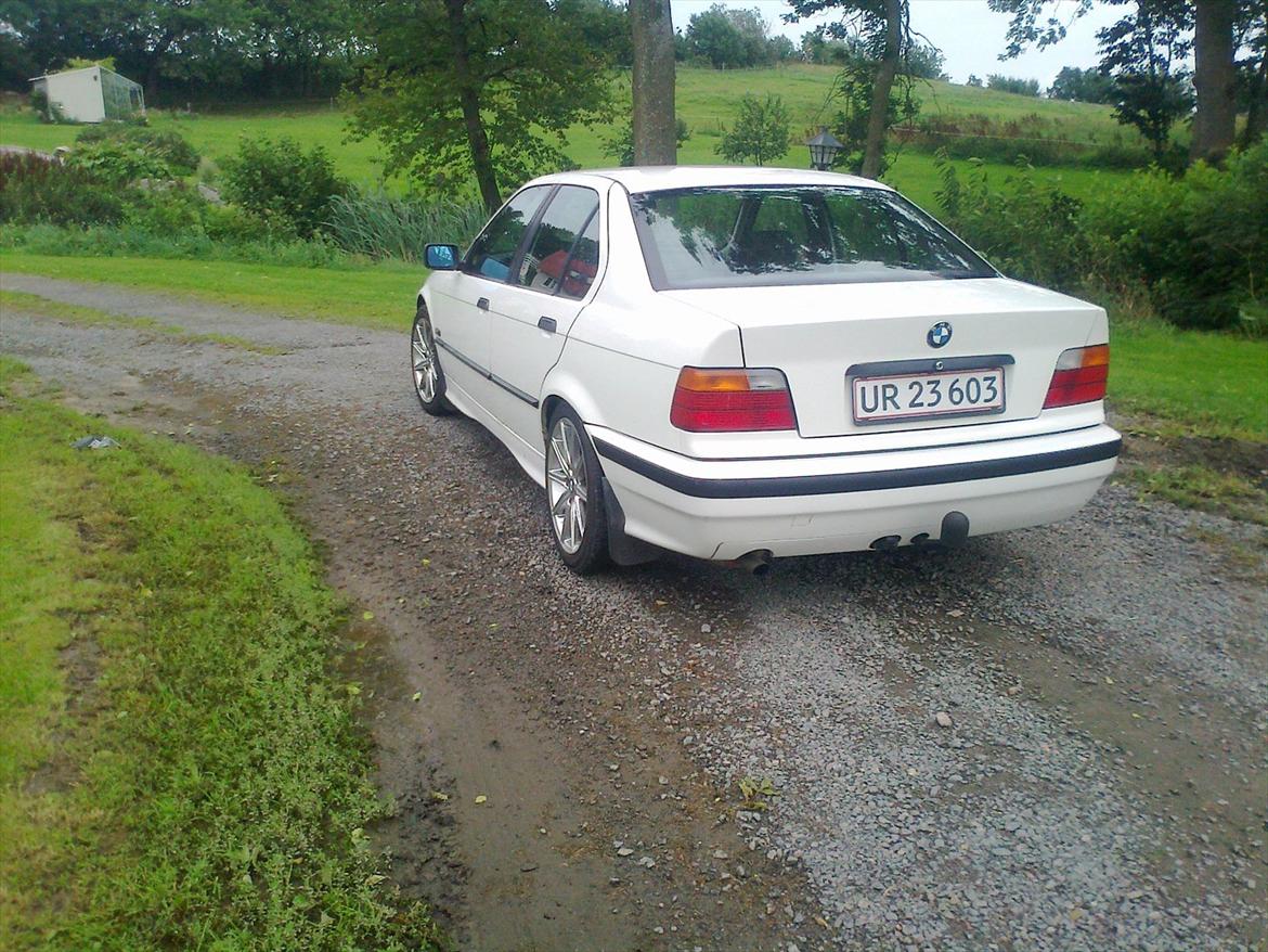BMW E36 318I billede 2