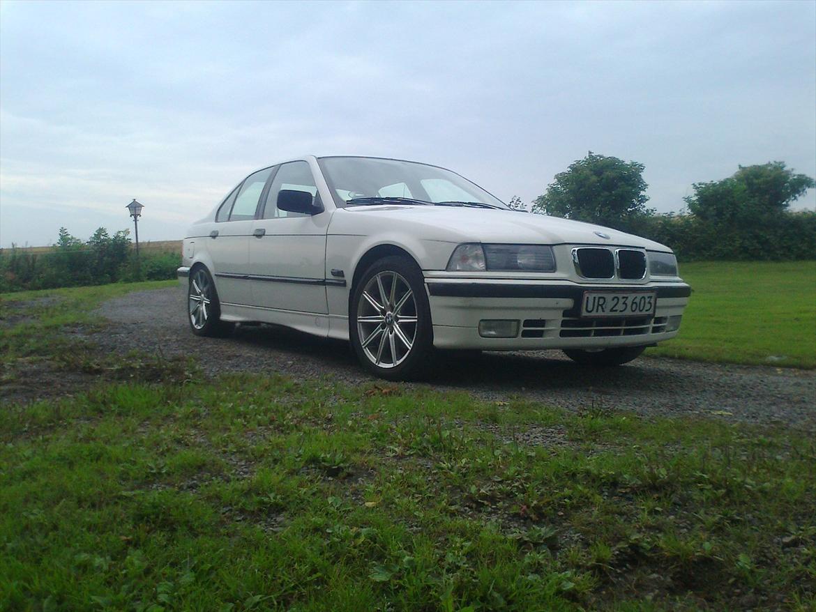 BMW E36 318I billede 5