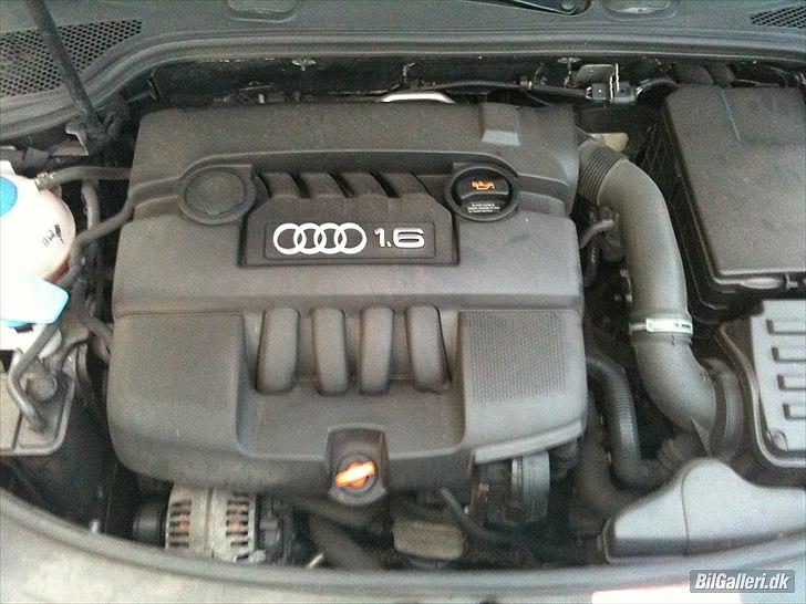 Audi A3 Attraction billede 8