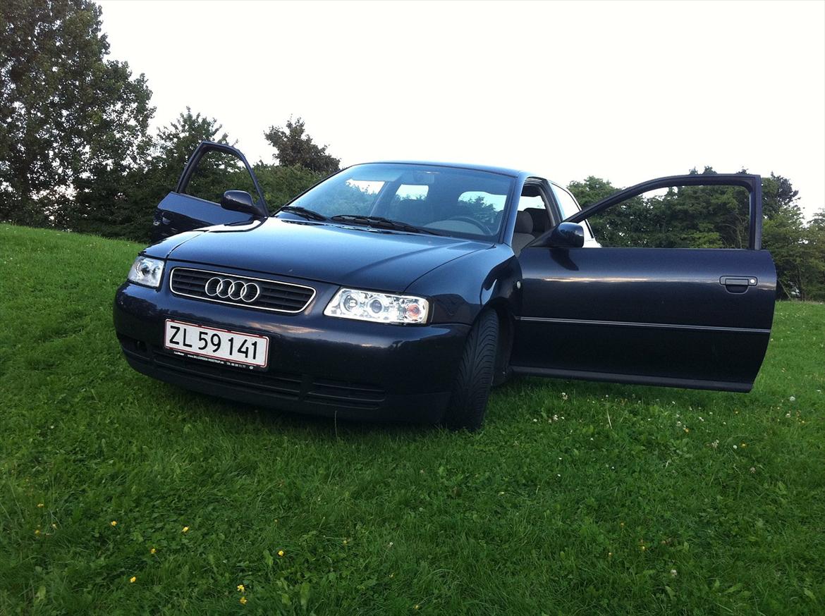 Audi A3 8L billede 1