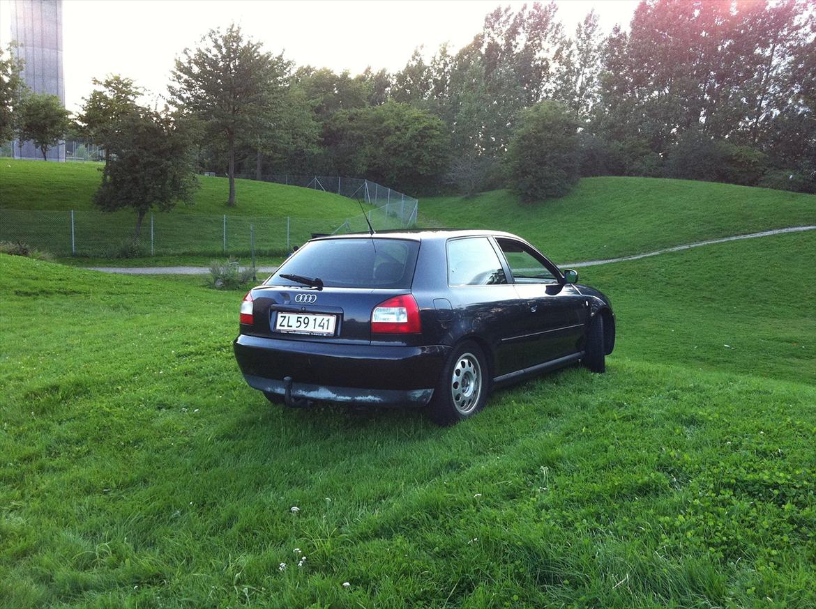Audi A3 8L billede 3