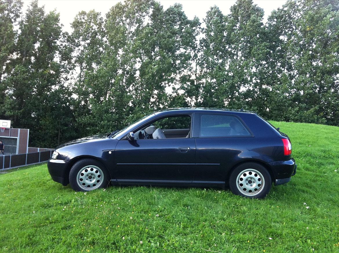 Audi A3 8L billede 7