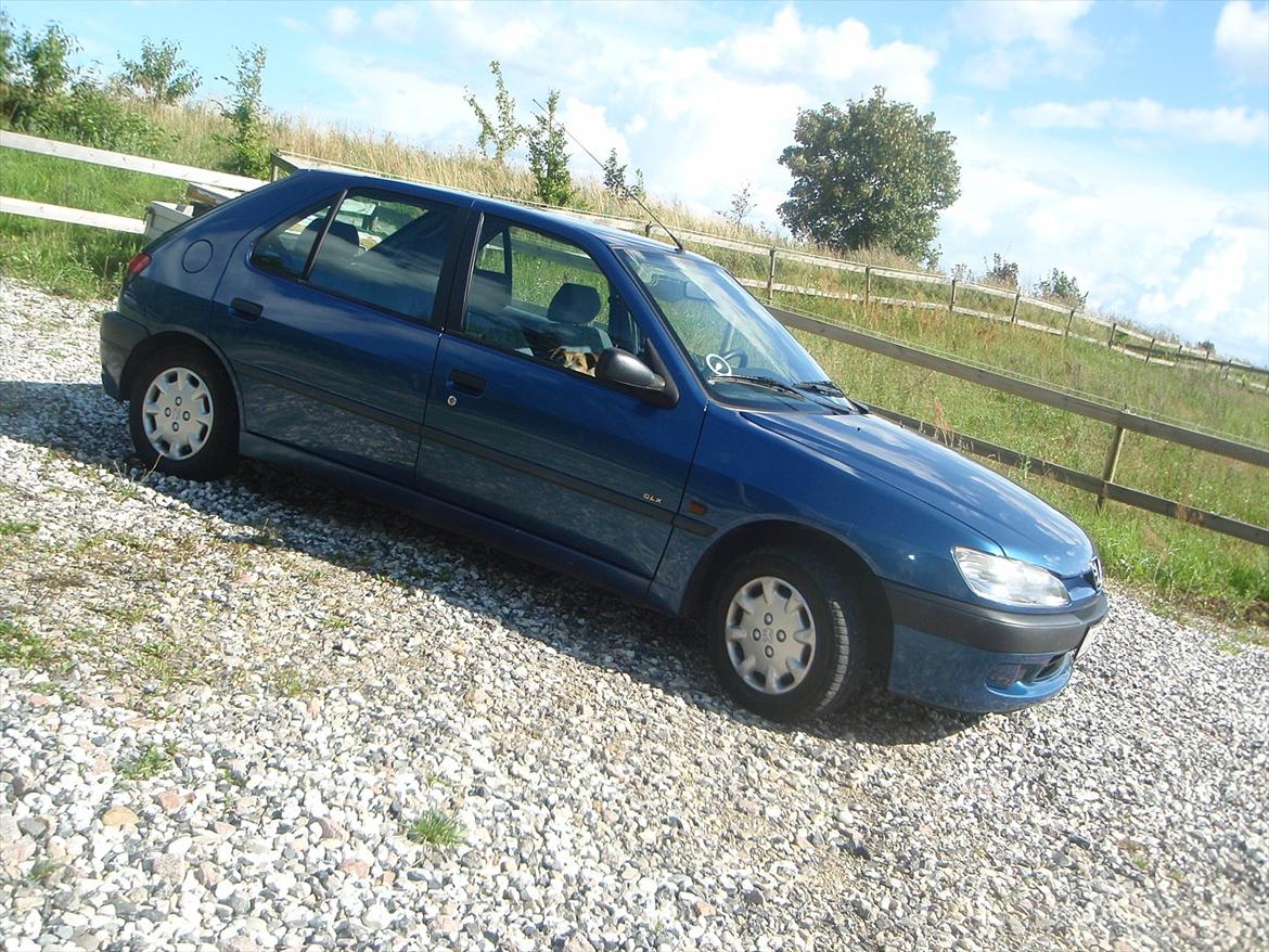 Peugeot 306 1.6 glx - papegøjen ;) billede 1