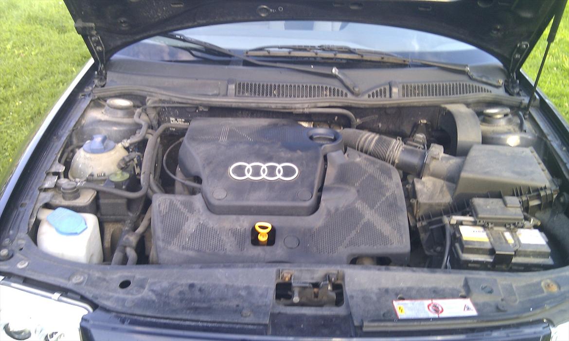 Audi A3 8L billede 8
