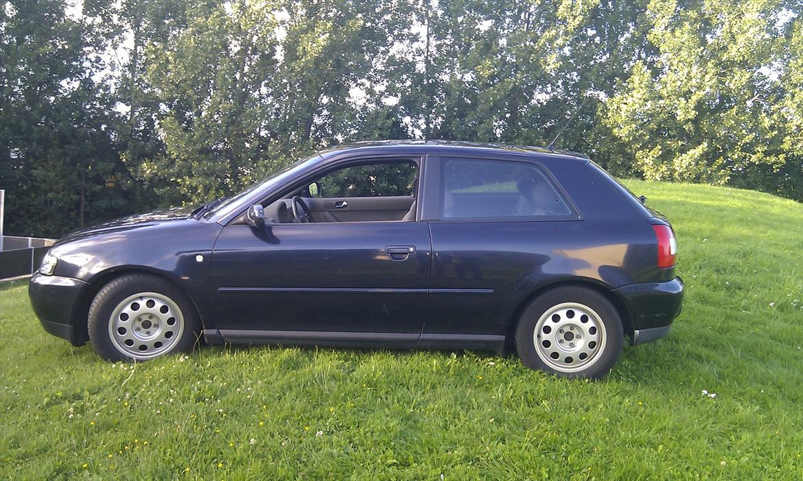 Audi A3 8L billede 11