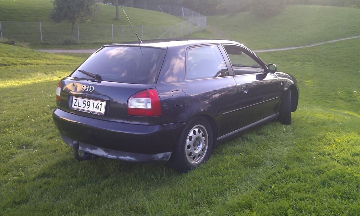Audi A3 8L billede 12