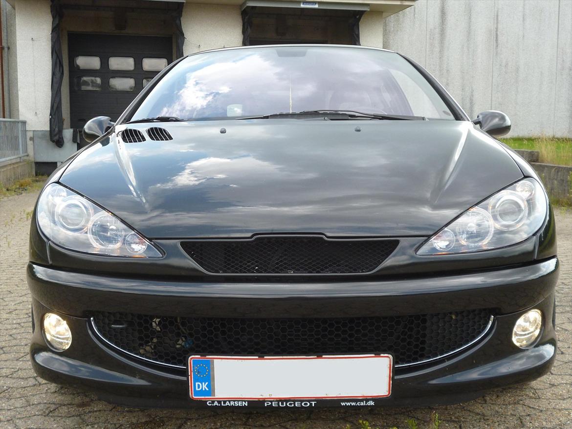 Peugeot 206 S16 Griffe billede 1