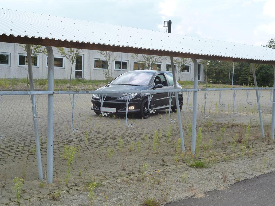 Peugeot 206 S16 Griffe billede 2