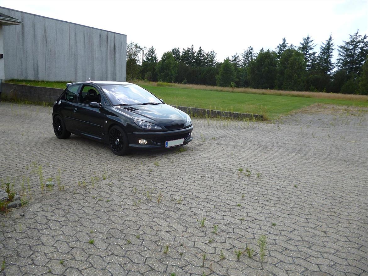 Peugeot 206 S16 Griffe billede 9