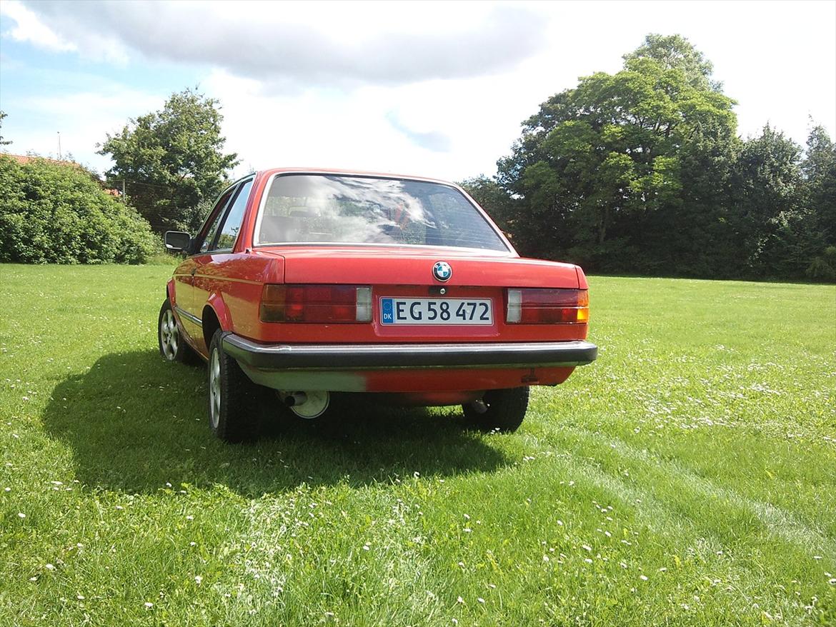 BMW E 30 316     SOLGT billede 6