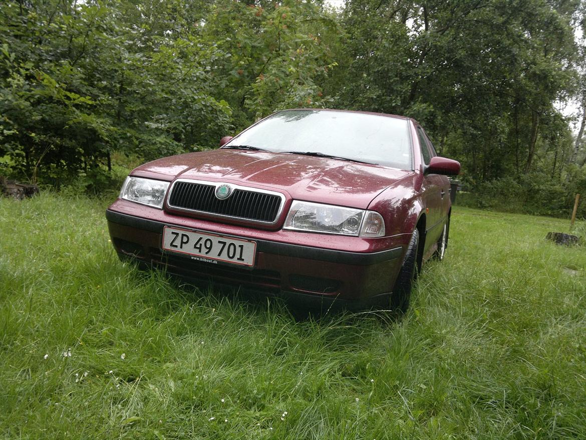 Skoda Octavia billede 15