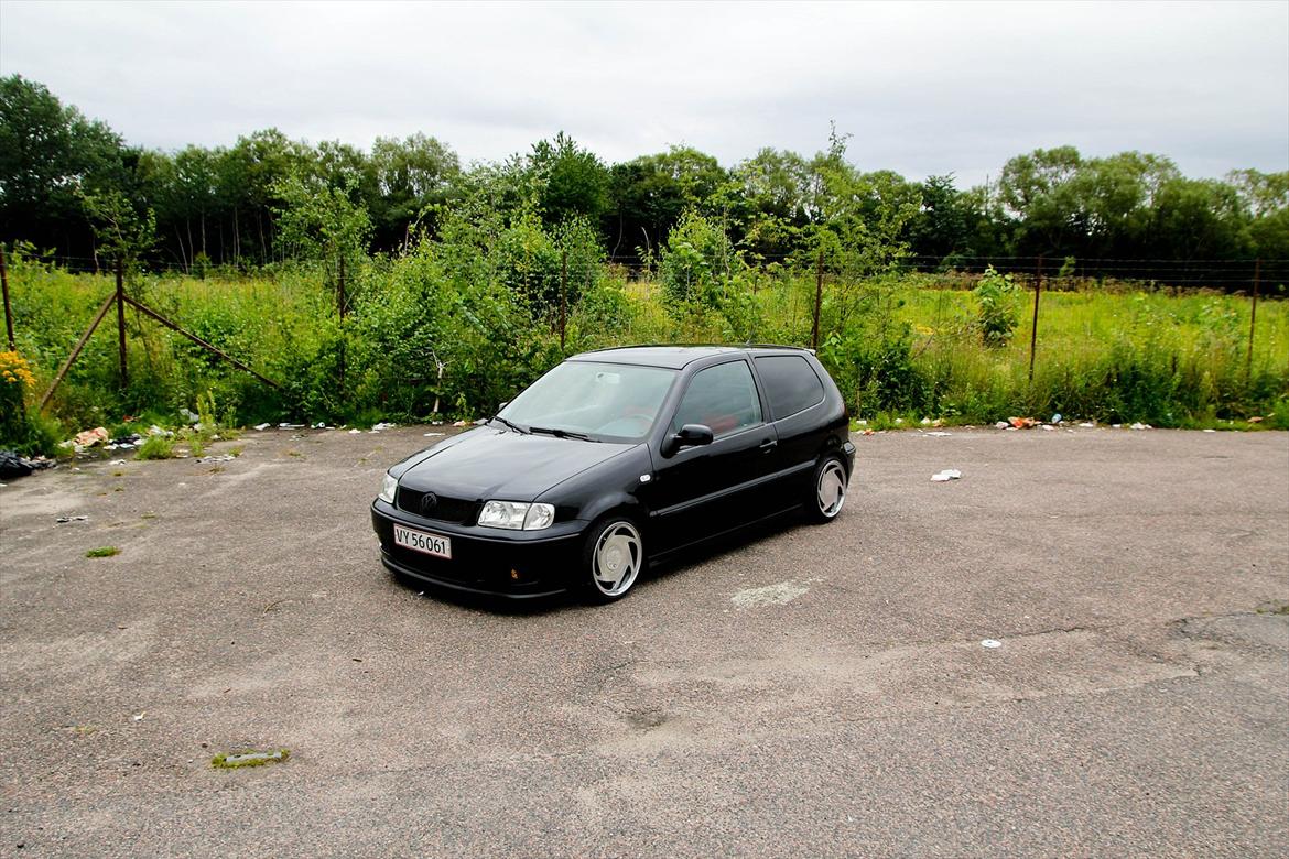 VW polo 6n2   billede 2