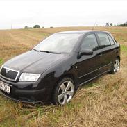 Skoda Fabia Ambiente 101